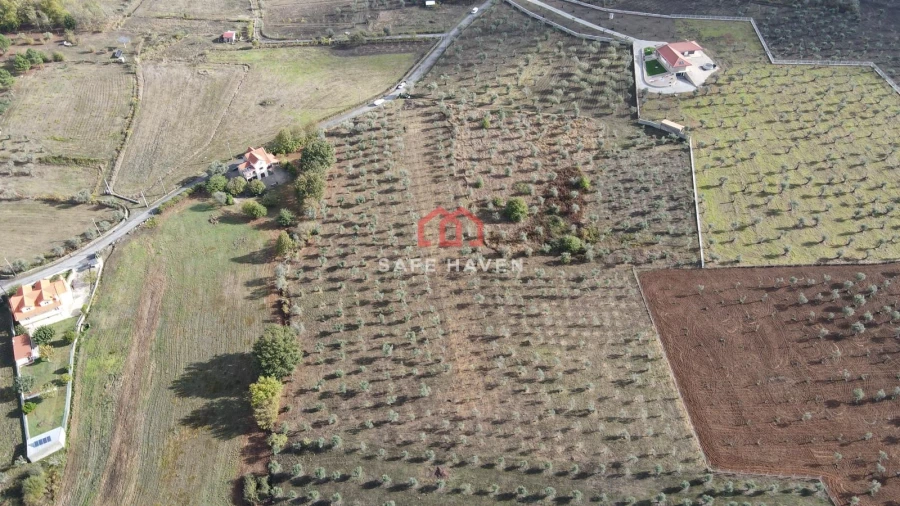 Terreno para Venda em Santa Comba Foto 5