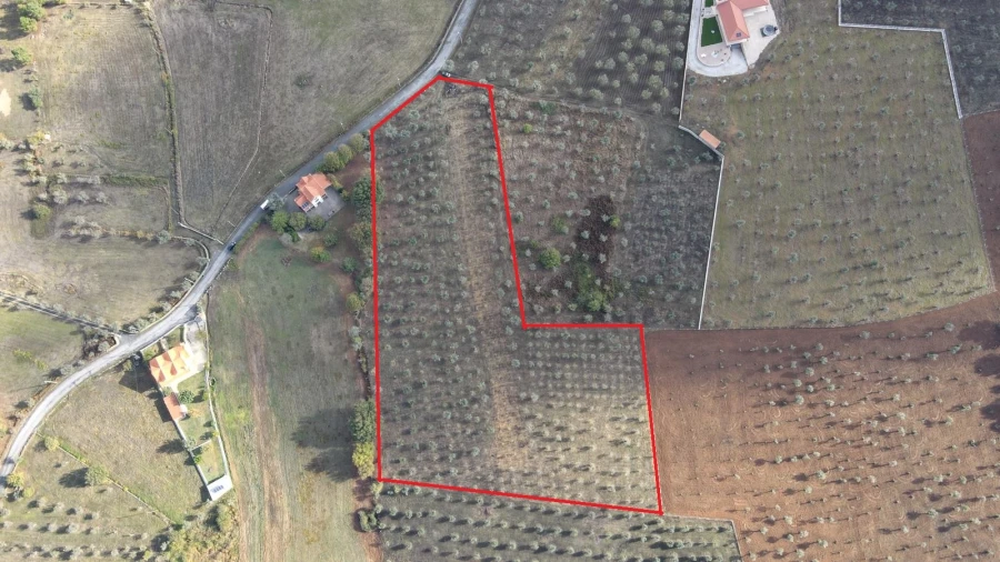 Terreno para Venda em Santa Comba Foto 1