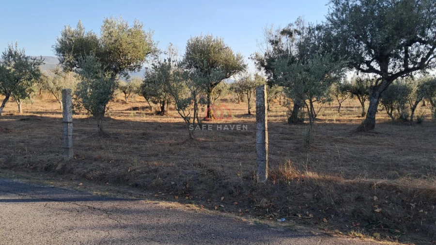 Terreno para Venda em Santa Comba Foto 7