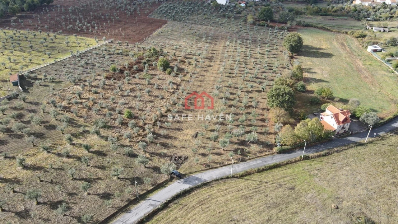 Terreno para Venda em Santa Comba Foto 3
