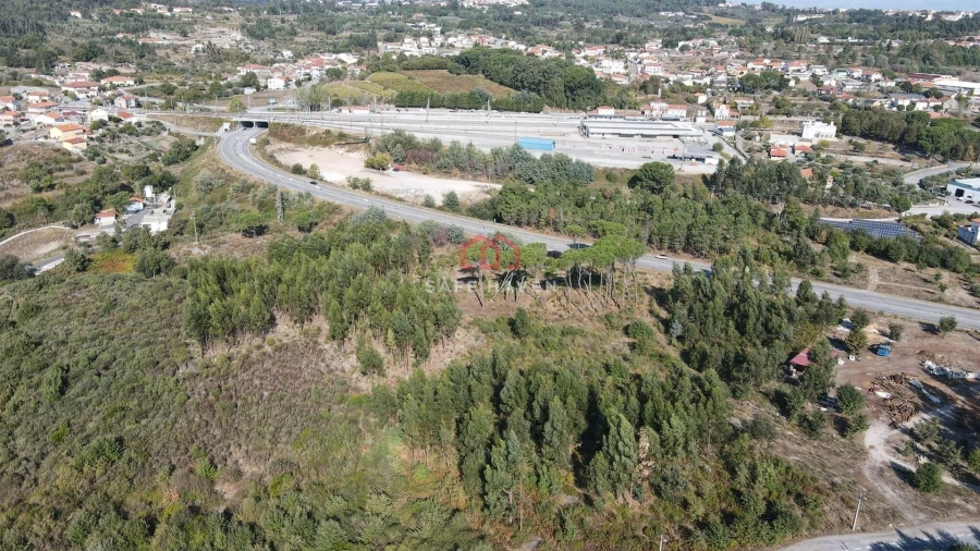 Terreno para Venda em Mangualde, Mesquitela e Cunha Alta Foto 4