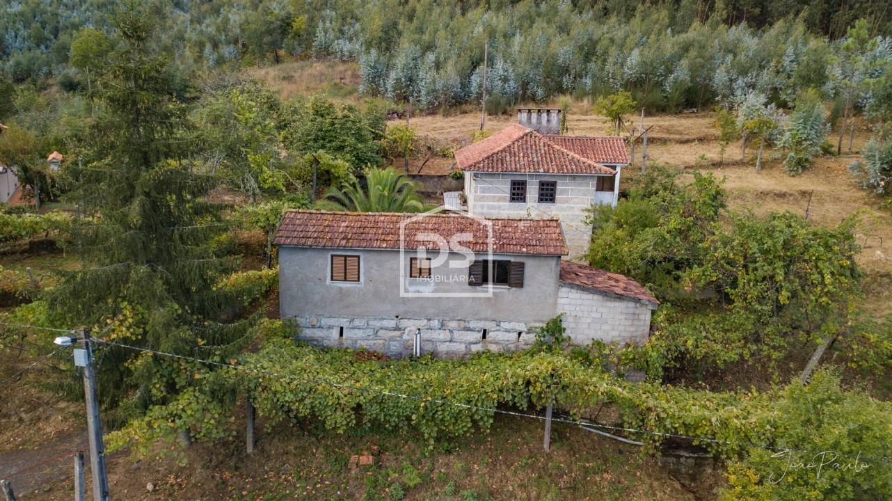 Quinta T0 para Venda em Raiva, Pedorido e Paraíso Foto 10