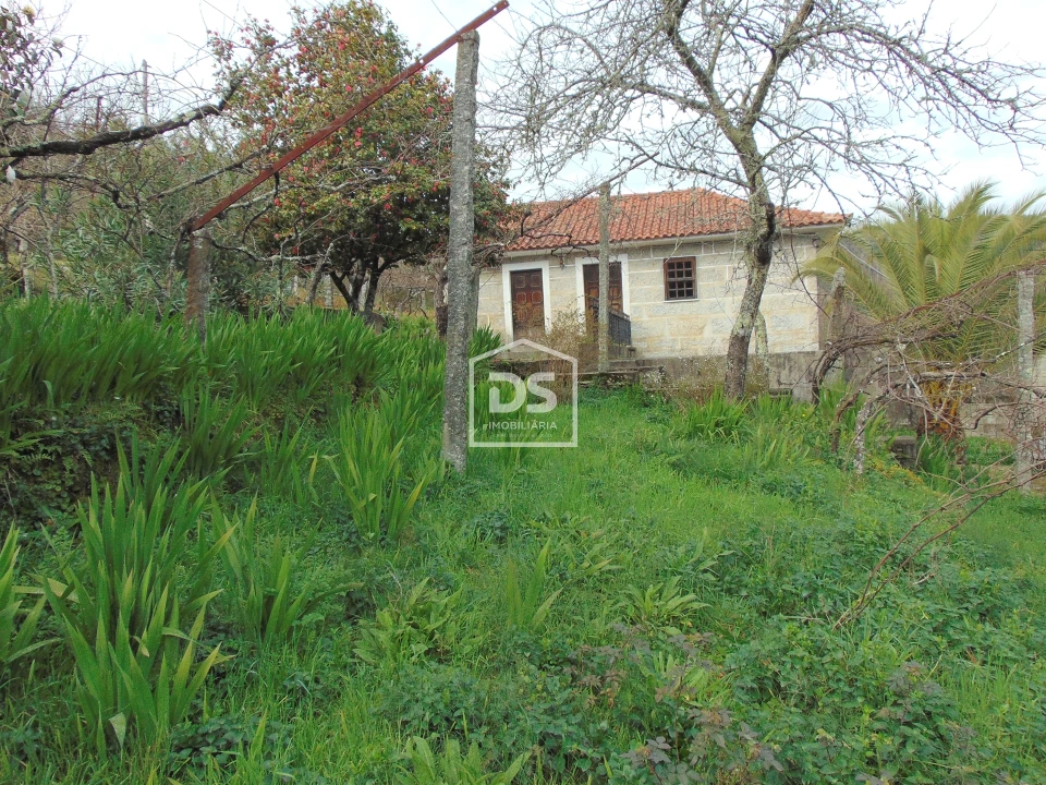 Quinta T0 para Venda em Raiva, Pedorido e Paraíso Foto 33