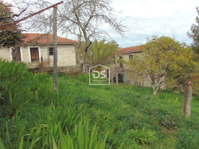 Quinta T0 para Venda em Raiva, Pedorido e Paraíso Foto 34