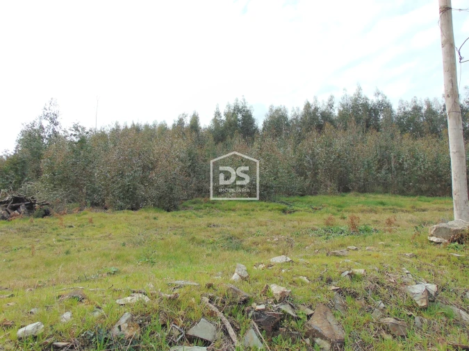 Quinta T0 para Venda em Raiva, Pedorido e Paraíso Foto 36