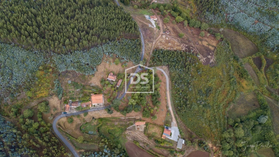 Quinta T0 para Venda em Raiva, Pedorido e Paraíso Foto 7