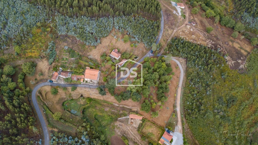 Quinta T0 para Venda em Raiva, Pedorido e Paraíso Foto 5