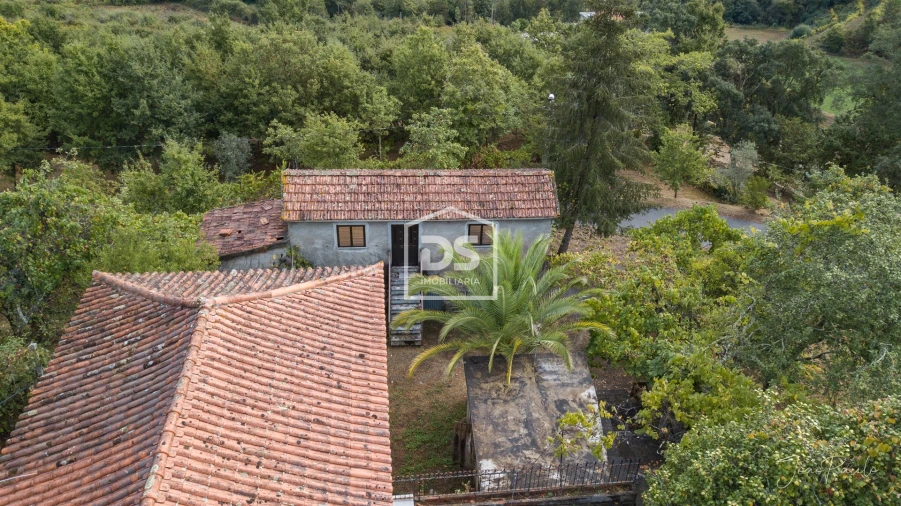 Quinta T0 para Venda em Raiva, Pedorido e Paraíso Foto 12