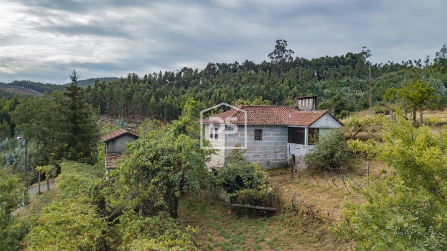 Quinta T0 para Venda em Raiva, Pedorido e Paraíso Foto 11