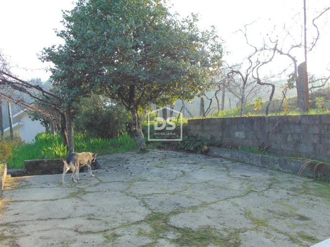 Quinta T0 para Venda em Raiva, Pedorido e Paraíso Foto 23