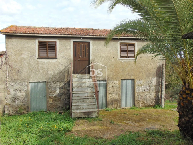 Quinta T0 para Venda em Raiva, Pedorido e Paraíso Foto 4