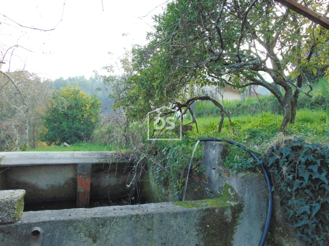 Quinta T0 para Venda em Raiva, Pedorido e Paraíso Foto 32