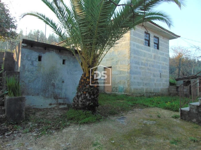 Quinta T0 para Venda em Raiva, Pedorido e Paraíso Foto 3