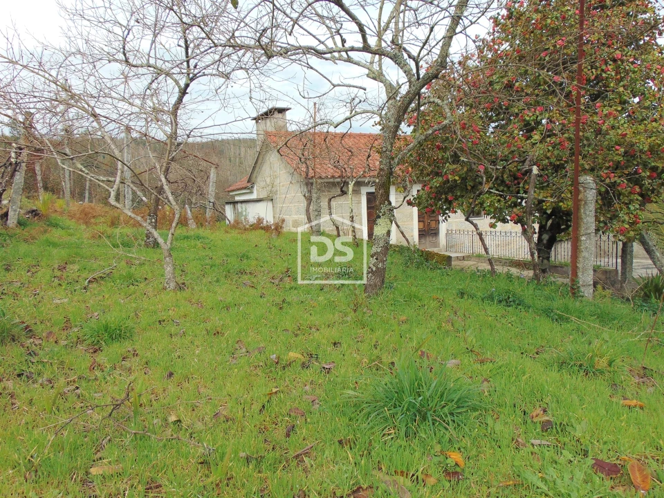 Quinta T0 para Venda em Raiva, Pedorido e Paraíso Foto 38