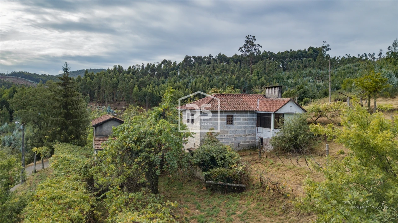 Quinta T0 para Venda em Raiva, Pedorido e Paraíso Foto 11