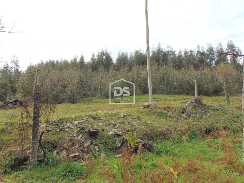 Quinta T0 para Venda em Raiva, Pedorido e Paraíso Foto 37