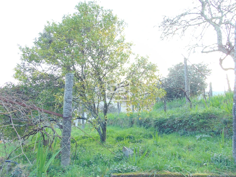 Quinta T0 para Venda em Raiva, Pedorido e Paraíso Foto 30