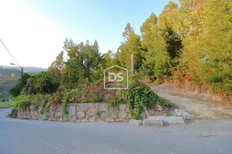 Moradia T2 para Venda em São Martinho de Sardoura Foto 13