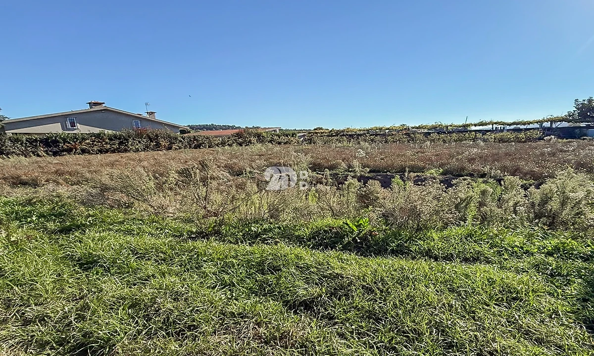 Terreno para Venda em Areias, Sequeirô, Lama e Palmeira Foto 1