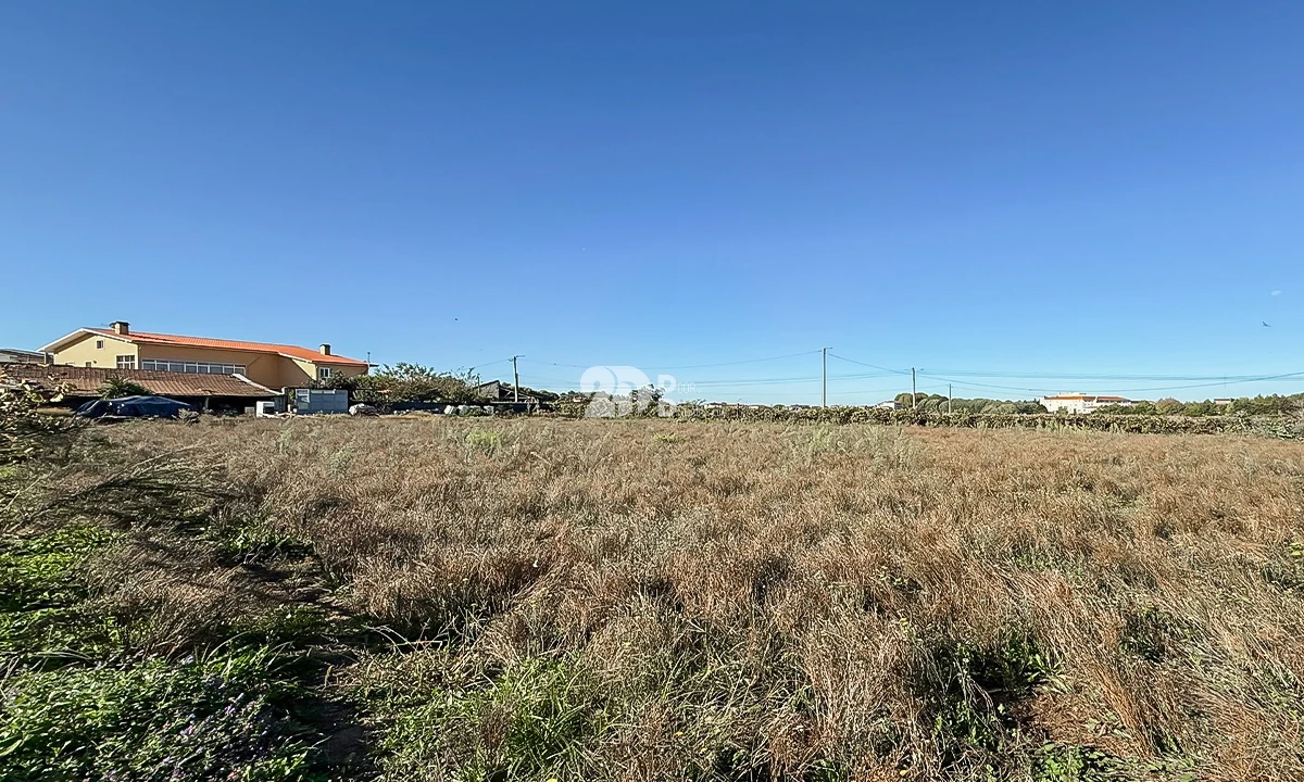 Terreno para Venda em Areias, Sequeirô, Lama e Palmeira Foto 10