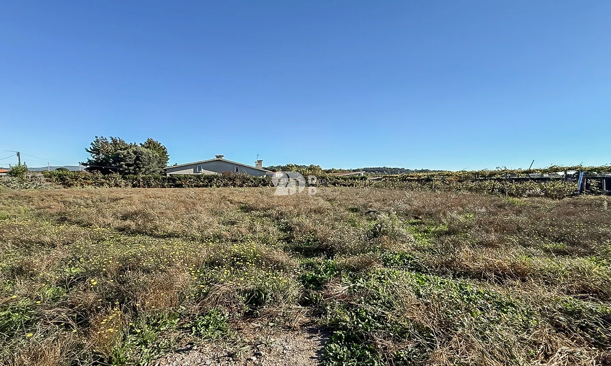 Terreno para Venda em Areias, Sequeirô, Lama e Palmeira Foto 5
