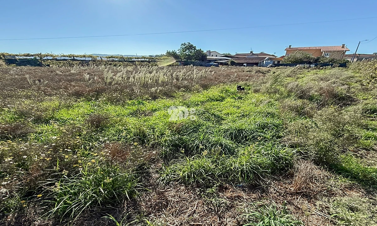 Terreno para Venda em Areias, Sequeirô, Lama e Palmeira Foto 6