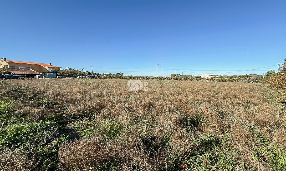 Terreno para Venda em Areias, Sequeirô, Lama e Palmeira Foto 8