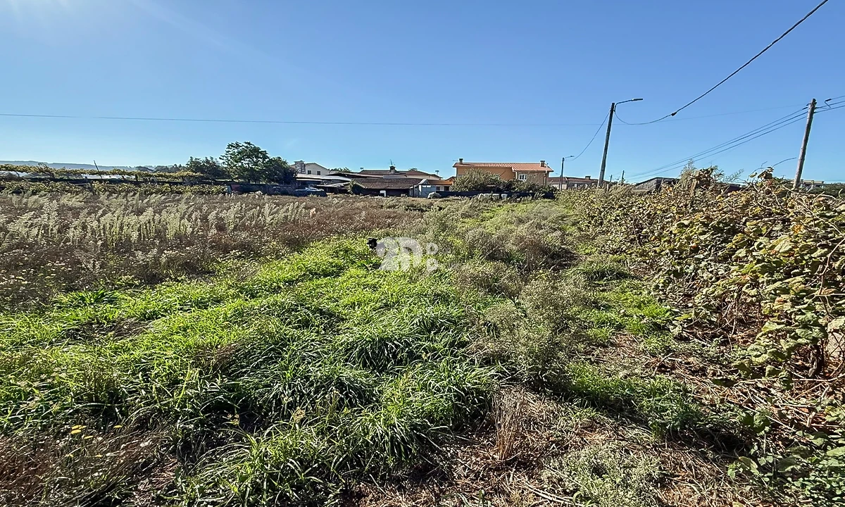 Terreno para Venda em Areias, Sequeirô, Lama e Palmeira Foto 4
