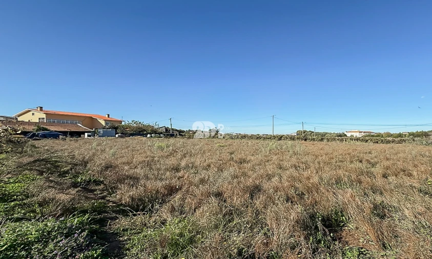 Terreno para Venda em Areias, Sequeirô, Lama e Palmeira Foto 10