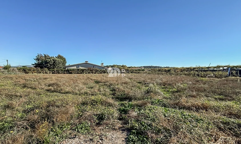 Terreno para Venda em Areias, Sequeirô, Lama e Palmeira Foto 5