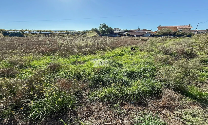 Terreno para Venda em Areias, Sequeirô, Lama e Palmeira Foto 6