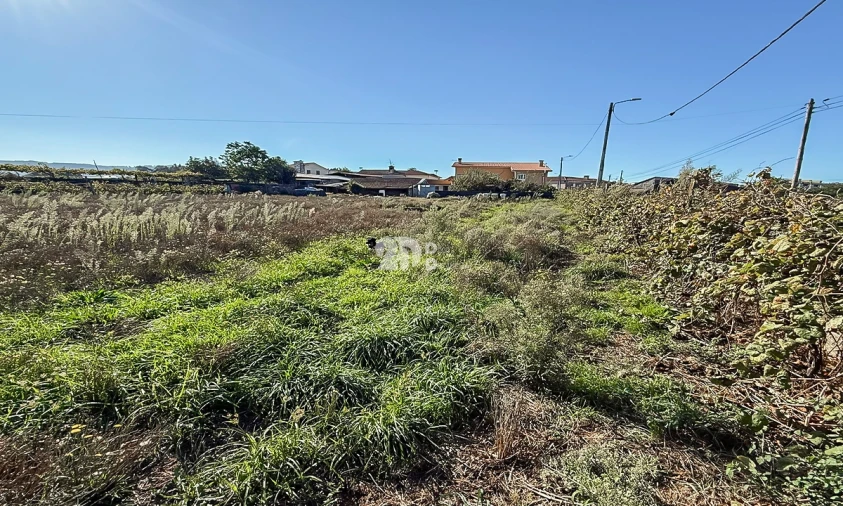 Terreno para Venda em Areias, Sequeirô, Lama e Palmeira Foto 4