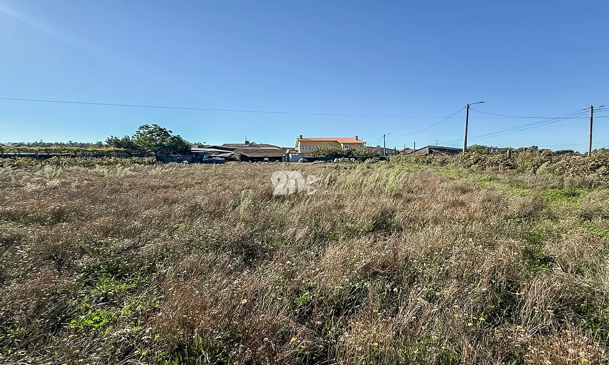 Terreno para Venda em Areias, Sequeirô, Lama e Palmeira Foto 7