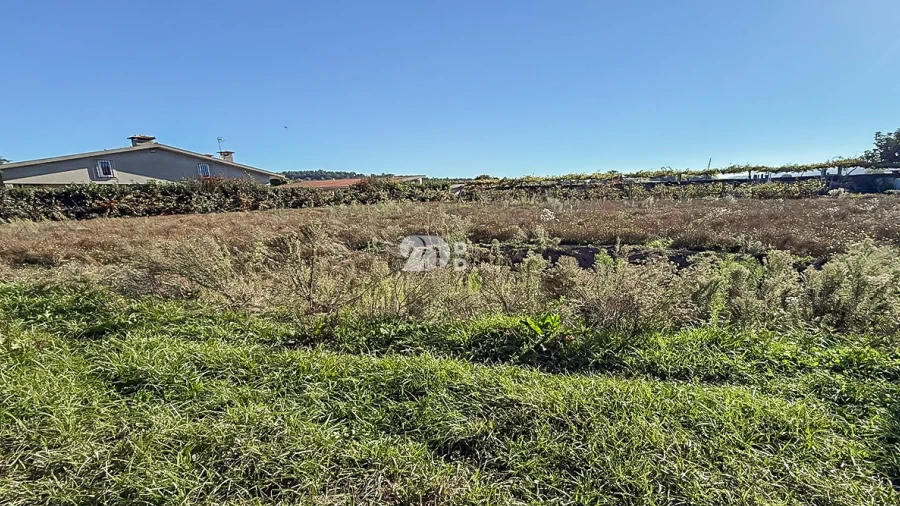 Terreno para Venda em Areias, Sequeirô, Lama e Palmeira