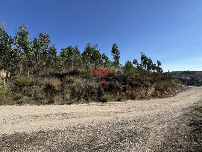 Terreno para Venda em Santa Maria, São Pedro e Matacães Foto 2