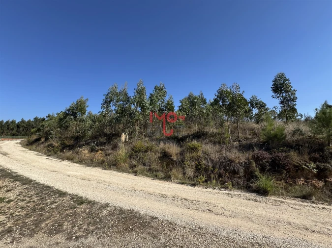 Terreno para Venda em Santa Maria, São Pedro e Matacães Foto 3