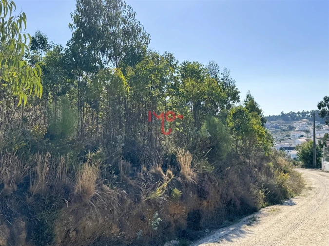 Terreno para Venda em Santa Maria, São Pedro e Matacães Foto 5