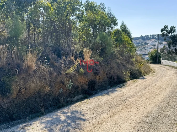 Terreno para Venda em Santa Maria, São Pedro e Matacães Foto 4