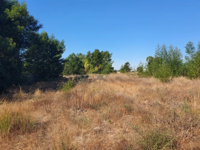 Terreno para Venda em Pegões Foto 4