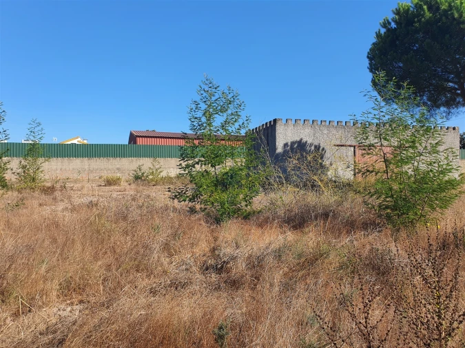 Terreno para Venda em Pegões Foto 7