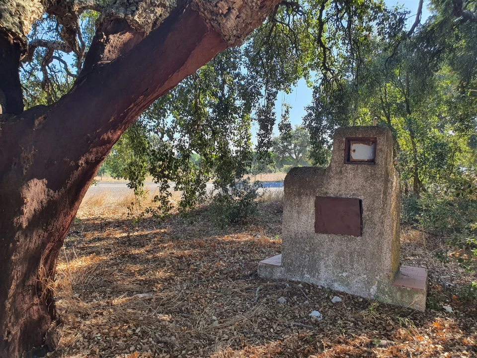 Terreno para Venda em Pegões Foto 8