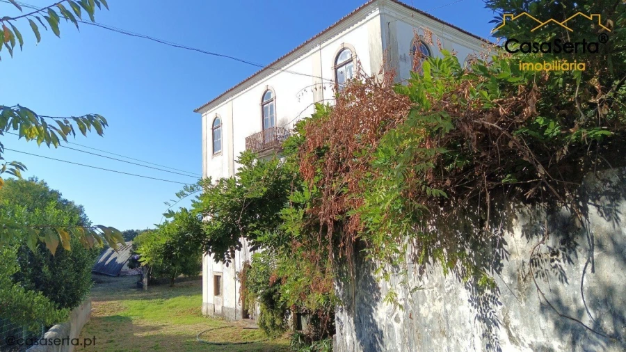 Quinta T7 para Venda em Cernache do Bonjardim, Nesperal e Palhais Foto 1