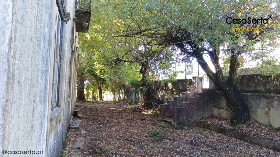 Quinta T7 para Venda em Cernache do Bonjardim, Nesperal e Palhais Foto 12
