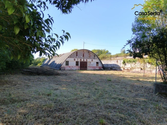 Quinta T7 para Venda em Cernache do Bonjardim, Nesperal e Palhais Foto 3