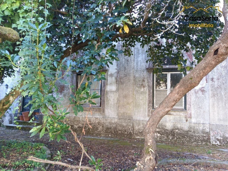 Quinta T7 para Venda em Cernache do Bonjardim, Nesperal e Palhais Foto 14