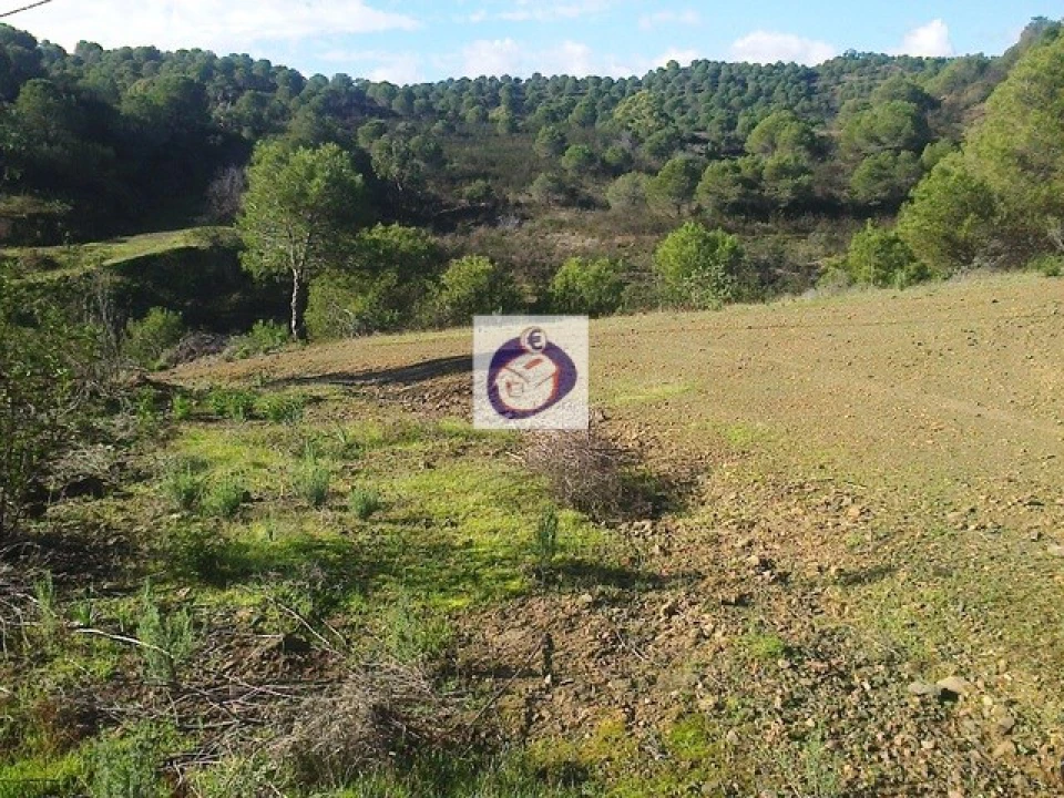 Quinta T3 para Venda em Vaqueiros Foto 7