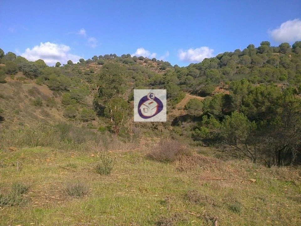 Quinta T3 para Venda em Vaqueiros Foto 9