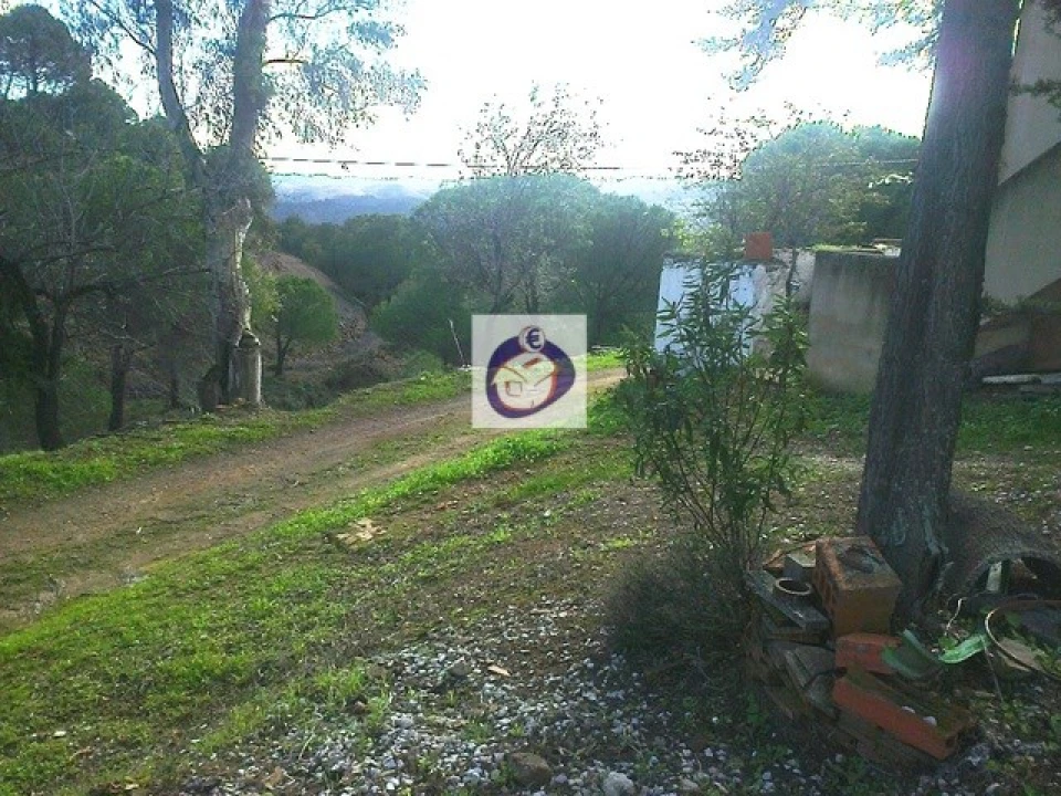 Quinta T3 para Venda em Vaqueiros Foto 11