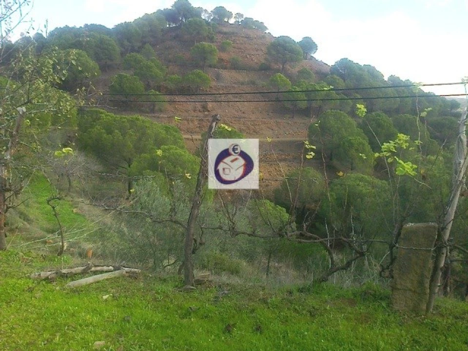 Quinta T3 para Venda em Vaqueiros Foto 3