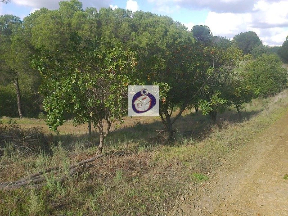 Quinta T3 para Venda em Vaqueiros Foto 16